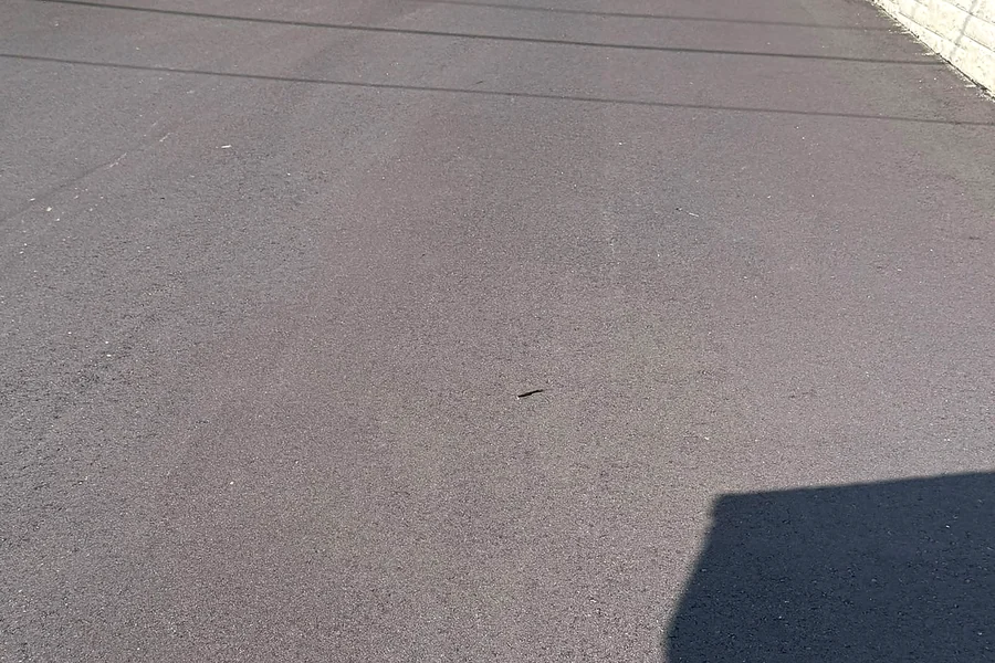 Asphalt side drive by Bobby Paving in the GTA